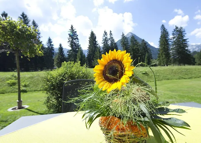 Daire Kinigadner Pertisau