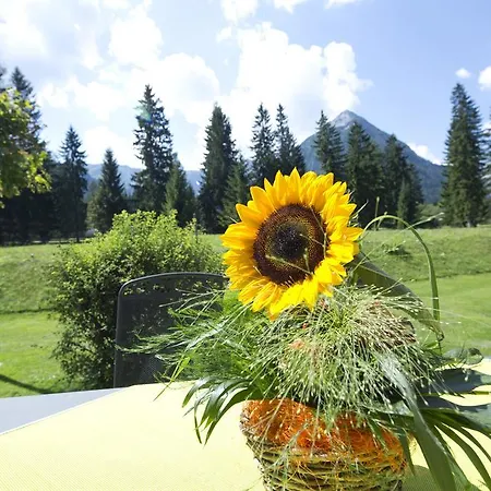 Appartement Kinigadner Pertisau